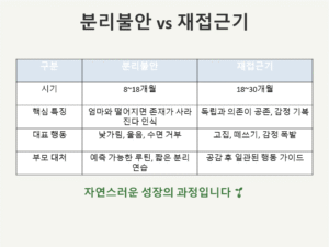 분리불안과 재접근기 차이점 비교 총정리 표