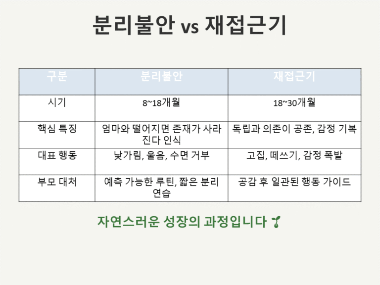 분리불안과 재접근기 차이점 비교 총정리 표