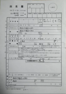 출생신고서 예시
