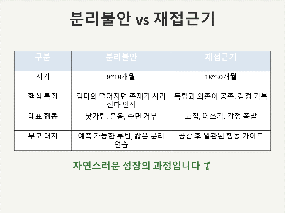 분리불안과 재접근기 차이 및 시기별 대처법 비교표