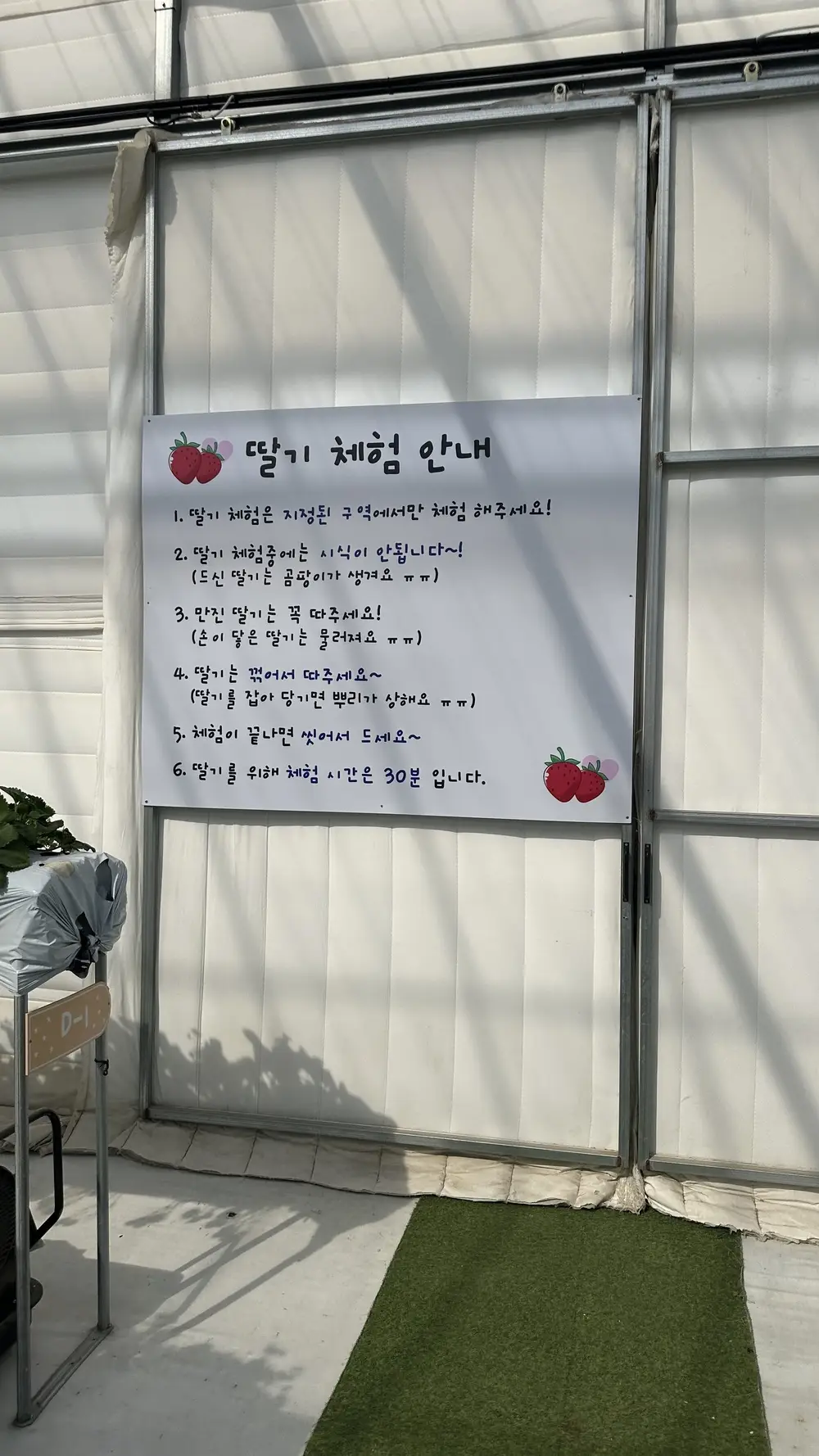Farm Farm Playgroundいちご狩りの体験方法と注意事項