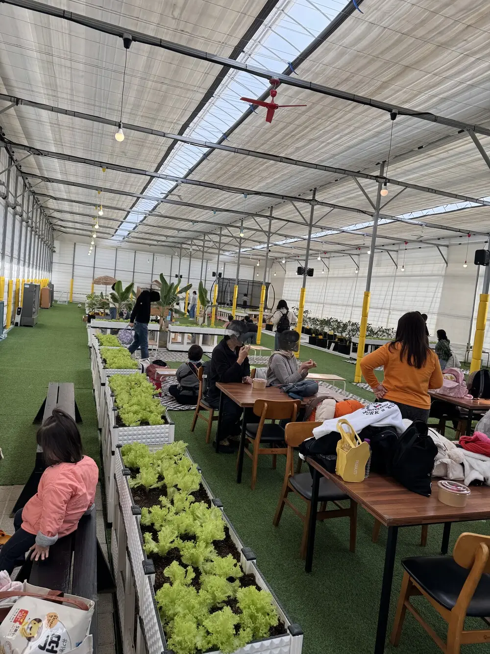 龍仁Farm Farm Playgroundいちご農園の室内スペース
