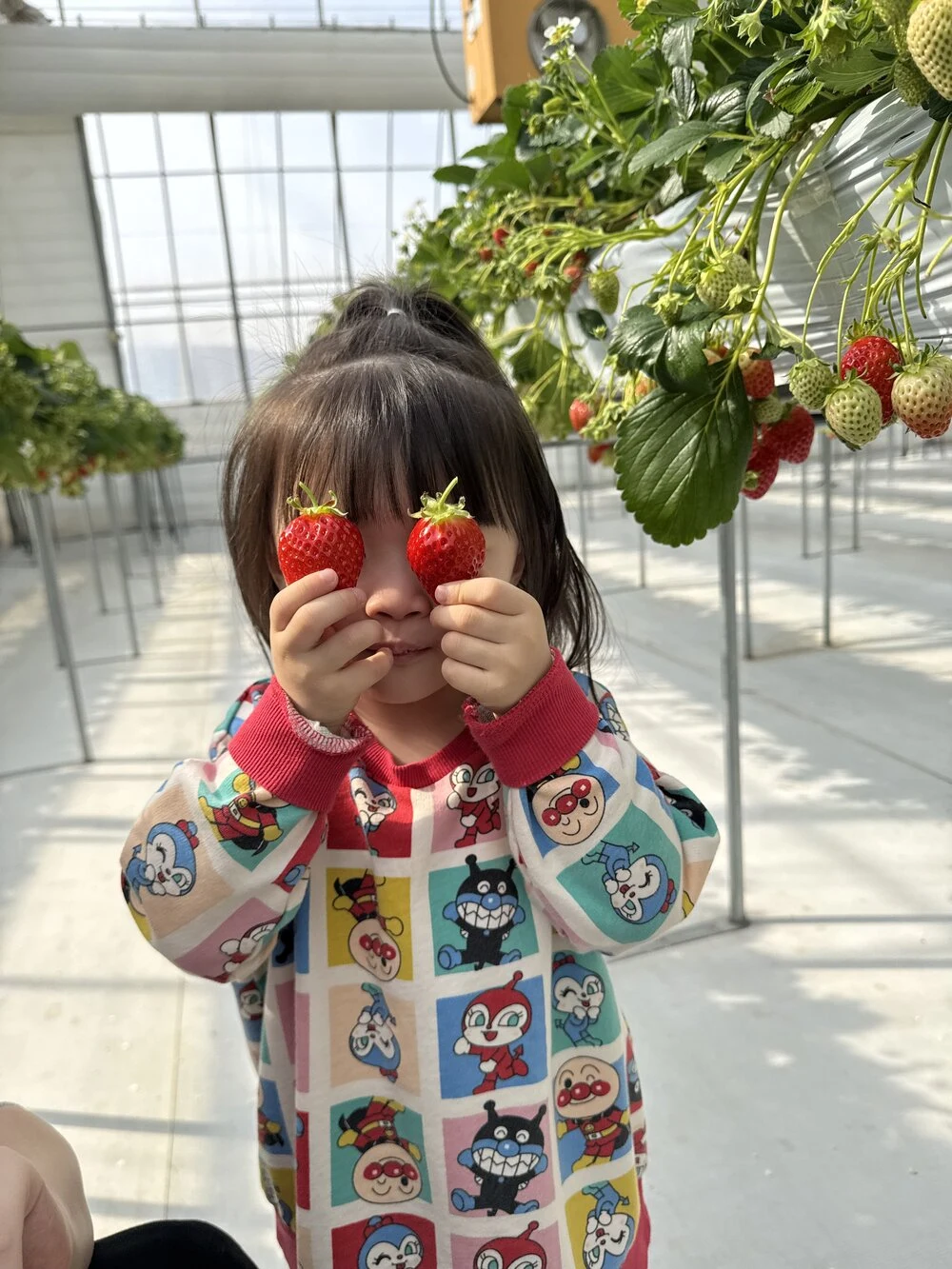 自分で収穫したいちごを嬉しそうに持っている子ども