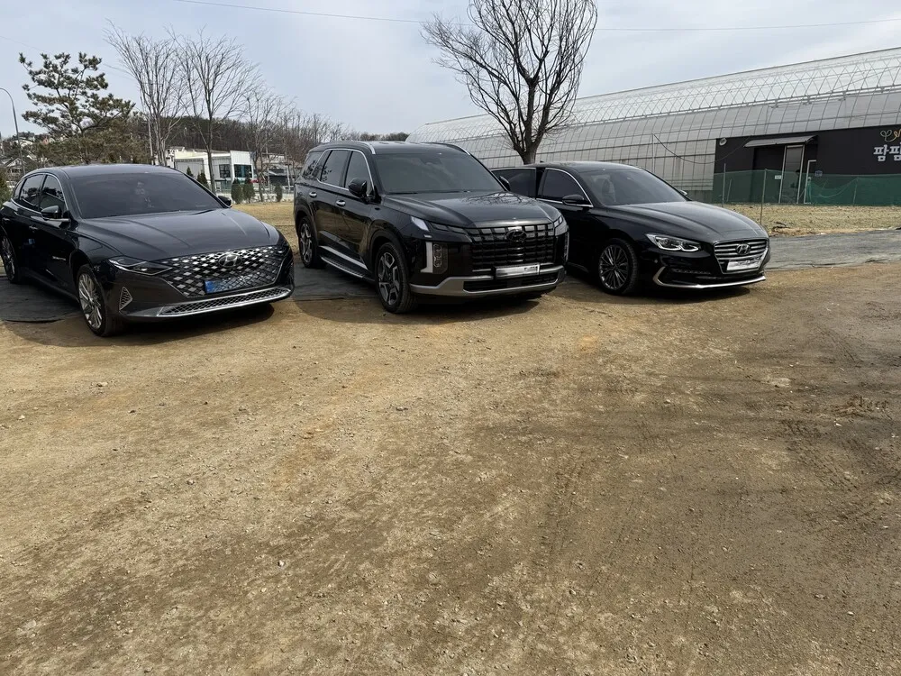 龍仁Farm Farm Playgroundいちご農園入口付近の駐車場