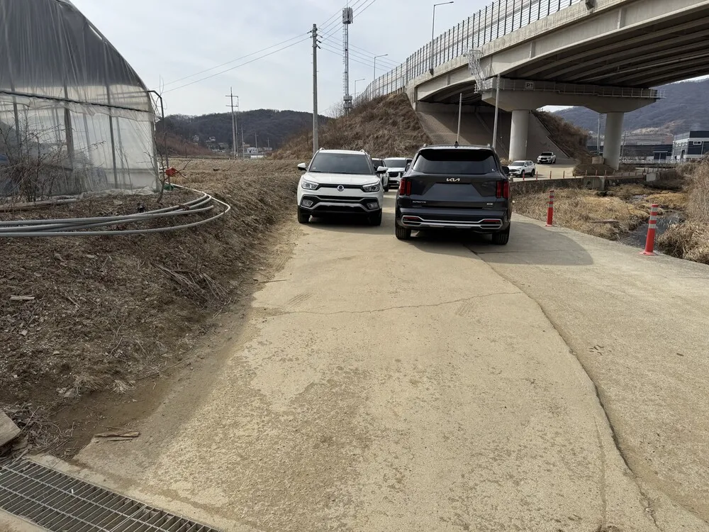 龍仁Farm Farm Playgroundいちご農園の進入路脇に駐車している車