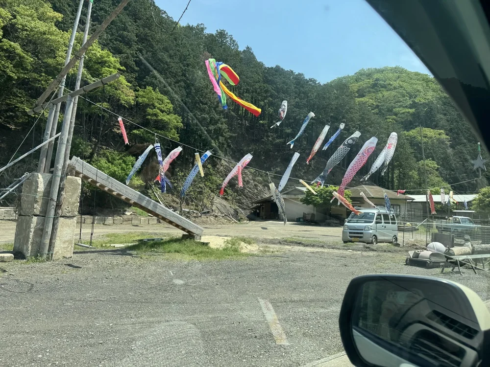 대마도 이동 중 발견한 일본 코이노보리 풍경